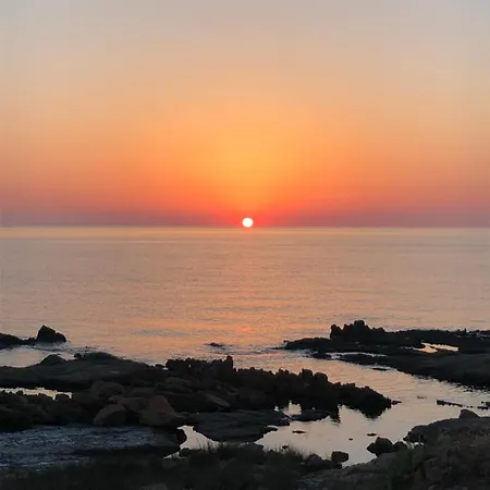 Damiano Тертения