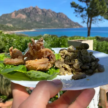 Damiano Тертения