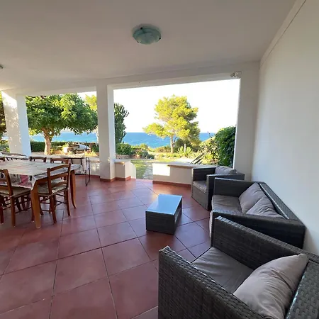 Damiano Тертения